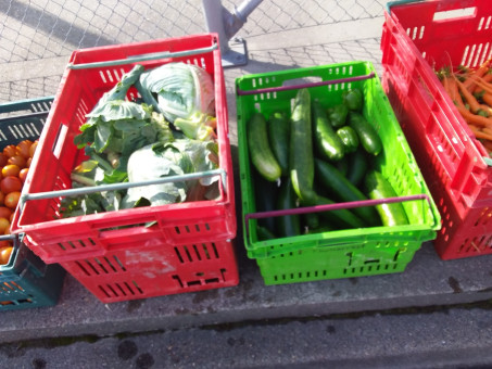 Produce grown at Invercargill Prison ready for pick up by Kiwi Harvest